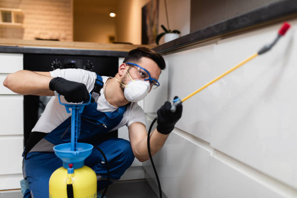 Best Residential Pest Control  in St John, KS