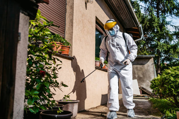 Best Local Pest Control Services  in St John, KS