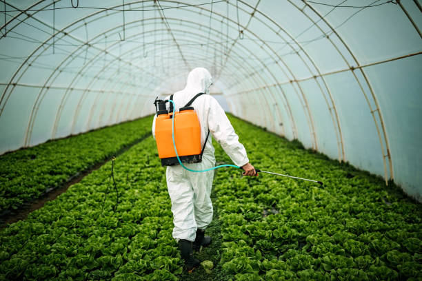 Pest Control for Restaurants in St John, KS