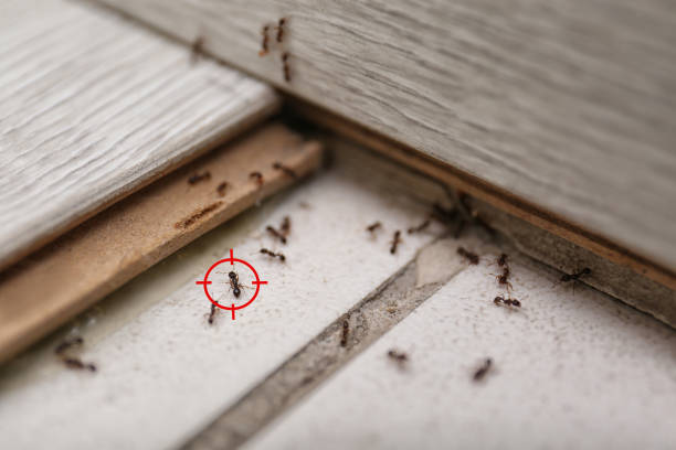 St John, KS Pest Control Company