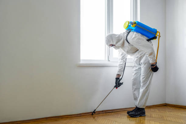 Best Bed Bug Extermination  in St John, KS