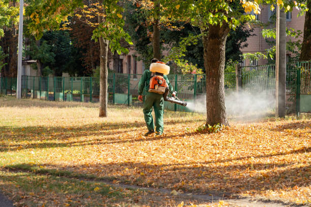 Best Pest Prevention Services  in St John, KS