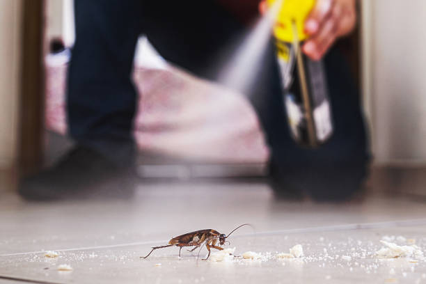 Best Mosquito Control Services  in St John, KS