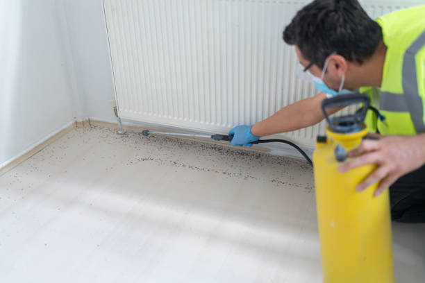 Best Pest Control Cost  in St John, KS