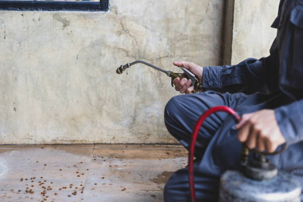 Professional Pest Control in St John, KS