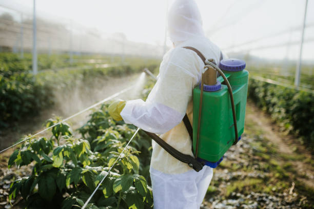 Best Pest Inspection Near Me  in St John, KS